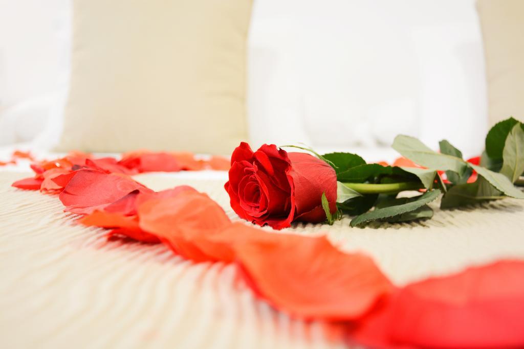 La Pasajera Hostal Boutique Кониль-де-ла-Фронтера Экстерьер фото